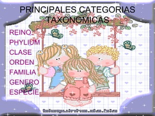 PRINCIPALES CATEGORIAS TAXONOMICAS REINO. PHYLIUM CLASE  ORDEN FAMILIA GENERO ESPECIE 