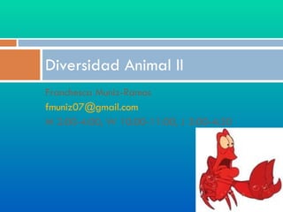 [object Object],[object Object],[object Object],Diversidad Animal II 
