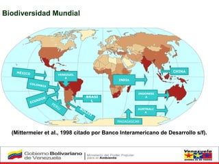 Biodiversidad Mundial (Mittermeier et al., 1998 citado por Banco Interamericano de Desarrollo s/f).  VENEZUELA COLOMBIA BRASIL INDONESIA ECUADOR MÉXICO CHINA AUSTRALIA PERU INDIA BOLIVIA MADAGASCAR 