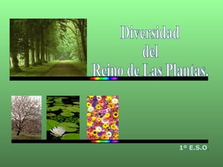 Diversidad  del  Reino de Las Plantas. 1º E.S.O . 