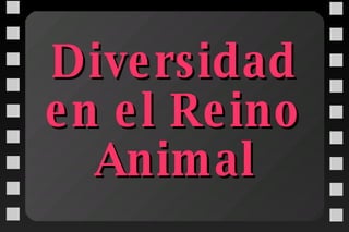 Diversidad en el Reino Animal 