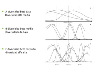    A diversidad beta baja
    Diversidad alfa media



   B diversidad beta media
    Diversidad alfa baja




   C diversidad beta muy alta
    diversidad alfa alta
 