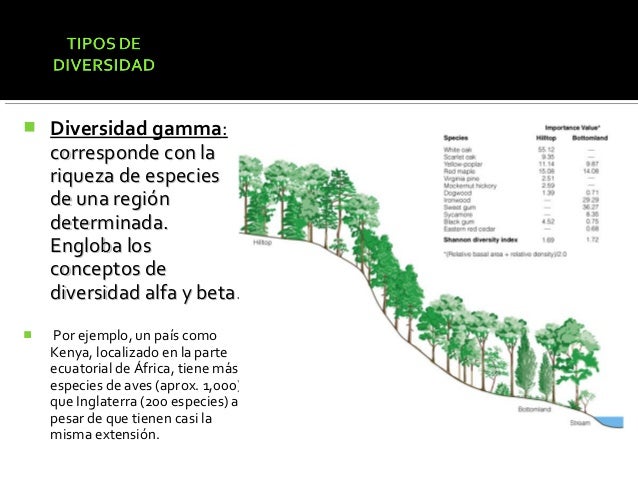 Diversidad alfa, beta_y_gamma