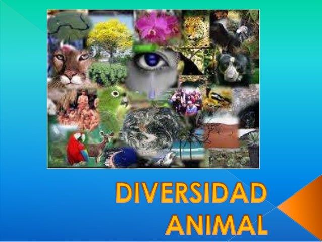 Diversidad animal