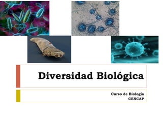 Diversidad Biológica
Curso de Biología
CENCAP
 