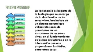 La Taxonomía es la parte de
la biología que se encarga
de la clasificación de los
seres vivos, basándose en
un sistema natural que
utiliza relaciones de
parentesco en las
estructuras de los seres
vivos, en el funcionamiento
de dichas estructuras o en la
información que nos
proporcionan los fósiles,
entre otras cosas.
 