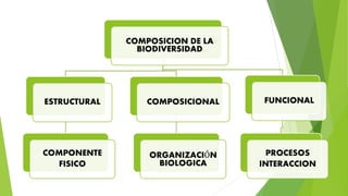 COMPOSICION DE LA
BIODIVERSIDAD
ESTRUCTURAL
COMPONENTE
FISICO
COMPOSICIONAL
ORGANIZACIÓN
BIOLOGICA
FUNCIONAL
PROCESOS
INTERACCION
 