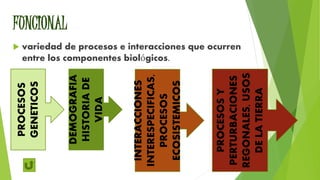 FUNCIONAL
 variedad de procesos e interacciones que ocurren
entre los componentes biológicos.
PROCESOSY
PERTURBACIONES
REGONALES,USOS
DELATIERRA
INTERACCIONES
INTERESPECIFICAS,
PROCESOS
ECOSISTEMICOS
DEMOGRAFIA
HISTORIADE
VIDA
PROCESOS
GENETICOS
 