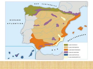 Diversidad climática