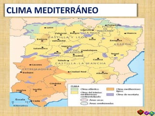 CLIMA MEDITERRÁNEO
 