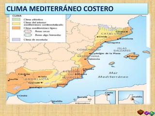 CLIMA MEDITERRÁNEO COSTERO
 