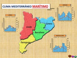 60
55
50
45
40
35
30
25
20
15
10
5
0
E F M A M J J A S O N D
T. Media: 16,4 P. Anual: 601
120
100
80
60
40
20
0
Temperaturas
Precipitacionesmm
BARCELONA
60
55
50
45
40
35
30
25
20
15
10
5
0
E F M A M J J A S O N D
T. Media: 14,6 P.Anual: 414
120
100
80
60
40
20
0
Temperaturas
Precipitacionesmm
LÉRIDA
MEDITERRÁNEO
INTERIOR
60
55
50
45
40
35
30
25
20
15
10
5
0
E F M A M J J A S O N D
T. Media: 14,3 P. Anual: 724
120
100
80
60
40
20
0
Temperaturas
Precipitacionesmm
GIRONA
CLIMA MEDITERRÁNEO MARÍTIMO
 