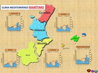 60
55
50
45
40
35
30
25
20
15
10
5
0
E F M A M J J A S O N D
T. Media: 18 P. Anual: 340
120
100
80
60
40
20
0
Temperaturas
Precipitacionesmm
VALENCIA
60
55
50
45
40
35
30
25
20
15
10
5
0
E F M A M J J A S O N D
T. Media: 18 P.Anual: 340
120
100
80
60
40
20
0
Temperaturas
Precipitacionesmm
ALICANTE
60
55
50
45
40
35
30
25
20
15
10
5
0
E F M A M J J A S O N D
T. Media: 17,6 P. Anual: 288
120
100
80
60
40
20
0
Temperaturas
Precipitacionesmm
MURCIA 60
55
50
45
40
35
30
25
20
15
10
5
0
E F M A M J J A S O N D
T. Media: 16,8 P. Anual: 449
120
100
80
60
40
20
0
Temperaturas
Precipitacionesmm
PALMA DE MALLORCA
60
55
50
45
40
35
30
25
20
15
10
5
0
E F M A M J J A S O N D
T. Media: 17 P. Anual: 442
120
100
80
60
40
20
0
Temperaturas
Precipitacionesmm
CASTELLÓN
CLIMA MEDITERRÁNEO MARÍTIMO
 