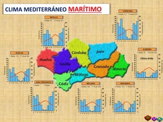 60
55
50
45
40
35
30
25
20
15
10
5
0
E F M A M J J A S O N D
T. Media: 15,3 P. Anual: 402
120
100
80
60
40
20
0
Temperaturas
Precipitacionesmm
GRANADA
60
55
50
45
40
35
30
25
20
15
10
5
0
E F M A M J J A S O N D
T. Media: 18,5 P. Anual: 469
120
100
80
60
40
20
0
Temperaturas
Precipitacionesmm
MÁLAGA
60
55
50
45
40
35
30
25
20
15
10
5
0
E F M A M J J A S O N D
T. Media: 17,9 P. Anual: 462
120
100
80
60
40
20
0
Temperaturas
Precipitacionesmm
HUELVA
60
55
50
45
40
35
30
25
20
15
10
5
0
E F M A M J J A S O N D
T. Media: 11,7 P. Anual: 572
120
100
80
60
40
20
0
Temperaturas
Precipitacionesmm
CÓRDOBA
60
55
50
45
40
35
30
25
20
15
10
5
0
E F M A M J J A S O N D
T. Media: 18 P.Anual: 230
120
100
80
60
40
20
0
Temperaturas
Precipitacionesmm
ALMERÍA
60
55
50
45
40
35
30
25
20
15
10
5
0
E F M A M J J A S O N D
T. Media: P.Anual:
120
100
80
60
40
20
0
Temperaturas
Precipitacionesmm
SAN FERNANDO
60
55
50
45
40
35
30
25
20
15
10
5
0
E F M A M J J A S O N D
T. Media: 18 P.Anual: 572
120
100
80
60
40
20
0
Temperaturas
Precipitacionesmm
SEVILLA
Clima árido
CLIMA MEDITERRÁNEO MARÍTIMO
 