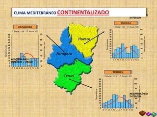 60
55
50
45
40
35
30
25
20
15
10
5
0
E F M A M J J A S O N D
T. Media: 13,5 P. Anual: 485
120
100
80
60
40
20
0
Temperaturas
Precipitacionesmm
HUESCA
60
55
50
45
40
35
30
25
20
15
10
5
0
E F M A M J J A S O N D
T. Media: 11,5 P. Anual: 381
120
100
80
60
40
20
0
Temperaturas
Precipitacionesmm
TERUEL
60
55
50
45
40
35
30
25
20
15
10
5
0
E F M A M J J A S O N D
T. Media: 14,6 P. Anual: 352
120
100
80
60
40
20
0
Temperaturas
Precipitacionesmm
ZARAGOZA
MEDITERRÁNEO
INTERIOR
MEDITERRÁNEO
INTERIOR
MEDITERRÁNEO
INTERIOR / ÁRIDO
CLIMA MEDITERRÁNEO CONTINENTALIZADO
 