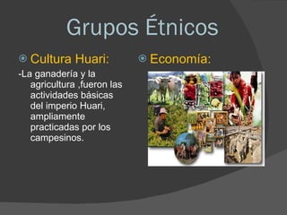 Grupos Étnicos Cultura Huari: -La ganadería y la agricultura ,fueron las actividades básicas del imperio Huari, ampliamente practicadas por los campesinos. Economía: 