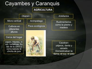 Cayambes y Caranquis
AGRICULTURA
Oberen
Micro-vertical Archipiélago
Cultivos en
diferentes
alturas
Pisos ecológicos
Cerca del hogar
papas, fréjoles, m
aíz, hortalizas, fru
tas de la zona y
como bebida la
chicha de jora
Cazaban:
pájaros, danta y
venado.
Domesticaban la
llama, el cuy, el pato
Artefactos
Rudimentarios
como la piedra y
madera
 