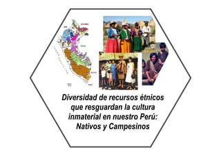 Diversidad de recursos étnicos
que resguardan la cultura
inmaterial en nuestro Perú:
Nativos y Campesinos
 