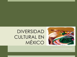 DIVERSIDAD CULTURAL EN MÉXICO ,[object Object]