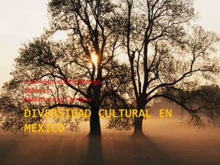Juan Miguiel Diaz Arango
Salon 101
Maestra: Ing. Carrasco

DIVERSIDAD CULTURAL EN
MEXICO
 