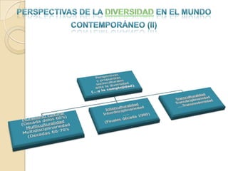 Perspectivas de la Diversidad en el mundo contemporáneo (II)