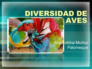 DIVERSIDAD DE AVES Alejandrina Muñoz Palomeque 