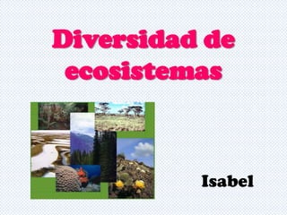 Diversidad de
ecosistemas

Isabel

 