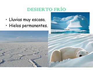 DESIERTO FRÍO
• Lluvias muy escasa.
• Hielos permanentes.

 