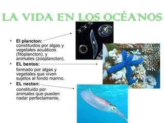 LA VIDA EN LOS OCÉANOS
•

•

•

El plancton:
constituidos por algas y
vegetales acuáticos
(fitoplancton), y
animales (zooplancton).
EL bentos:
formado por algas y
vegetales que viven
sujetos al fondo marino.
EL necton:
constituido por
animales que pueden
nadar perfectamente,

 