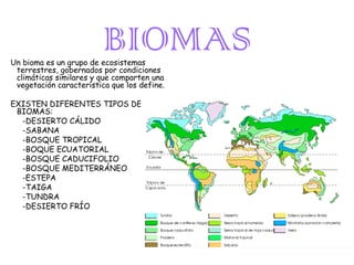BIOMAS

Un bioma es un grupo de ecosistemas
terrestres, gobernados por condiciones
climáticas similares y que comparten una
vegetación característica que los define.
EXISTEN DIFERENTES TIPOS DE
BIOMAS:
-DESIERTO CÁLIDO
-SABANA
-BOSQUE TROPICAL
-BOQUE ECUATORIAL
-BOSQUE CADUCIFOLIO
-BOSQUE MEDITERRÁNEO
-ESTEPA
-TAIGA
-TUNDRA
-DESIERTO FRÍO

 