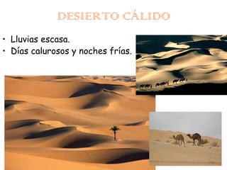 DESIERTO CÁLIDO
• Lluvias escasa.
• Días calurosos y noches frías.

 
