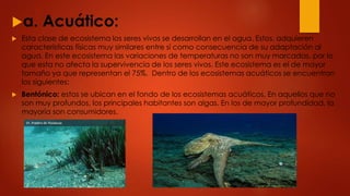a. Acuático:
 Esta clase de ecosistema los seres vivos se desarrollan en el agua. Estos, adquieren
características físicas muy similares entre sí como consecuencia de su adaptación al
agua. En este ecosistema las variaciones de temperaturas no son muy marcadas, por lo
que esta no afecta la supervivencia de los seres vivos. Este ecosistema es el de mayor
tamaño ya que representan el 75%. Dentro de los ecosistemas acuáticos se encuentran
los siguientes:
 Bentónico: estos se ubican en el fondo de los ecosistemas acuáticos. En aquellos que no
son muy profundos, los principales habitantes son algas. En los de mayor profundidad, la
mayoría son consumidores.
 