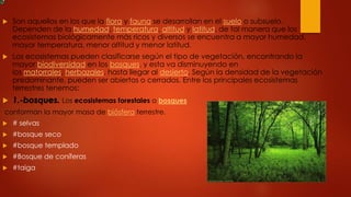  Son aquellos en los que la flora y fauna se desarrollan en el suelo o subsuelo.
Dependen de la humedad, temperatura, altitud y latitud, de tal manera que los
ecosistemas biológicamente más ricos y diversos se encuentra a mayor humedad,
mayor temperatura, menor altitud y menor latitud.
 Los ecosistemas pueden clasificarse según el tipo de vegetación, encontrando la
mayor biodiversidad en los bosques, y esta va disminuyendo en
los matorrales, herbazales, hasta llegar al desierto. Según la densidad de la vegetación
predominante, pueden ser abiertos o cerrados. Entre los principales ecosistemas
terrestres tenemos:
 1.-bosques. Los ecosistemas forestales o bosques
conforman la mayor masa de biósfera terrestre.
 # selvas
 #bosque seco
 #bosque templado
 #Bosque de coníferas
 #taiga
 
