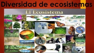 Diversidad de ecosistemas
 