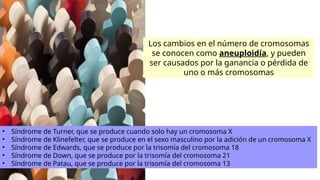 Los cambios en el número de cromosomas
se conocen como aneuploidía, y pueden
ser causados por la ganancia o pérdida de
uno o más cromosomas
• Síndrome de Turner, que se produce cuando solo hay un cromosoma X
• Síndrome de Klinefelter, que se produce en el sexo masculino por la adición de un cromosoma X
• Síndrome de Edwards, que se produce por la trisomía del cromosoma 18
• Síndrome de Down, que se produce por la trisomía del cromosoma 21
• Síndrome de Patau, que se produce por la trisomía del cromosoma 13
 