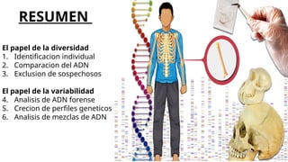 El papel de la diversidad
1. Identificacion individual
2. Comparacion del ADN
3. Exclusion de sospechosos
El papel de la variabilidad
4. Analisis de ADN forense
5. Crecion de perfiles geneticos
6. Analisis de mezclas de ADN
RESUMEN
 