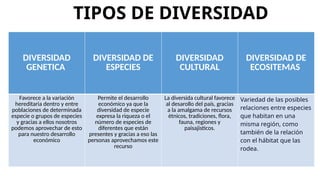 DIVERSIDAD
GENETICA
DIVERSIDAD DE
ESPECIES
DIVERSIDAD
CULTURAL
DIVERSIDAD DE
ECOSITEMAS
Favorece a la variación
hereditaria dentro y entre
poblaciones de determinada
especie o grupos de especies
y gracias a ellos nosotros
podemos aprovechar de esto
para nuestro desarrollo
económico
Permite el desarrollo
económico ya que la
diversidad de especie
expresa la riqueza o el
número de especies de
diferentes que están
presentes y gracias a eso las
personas aprovechamos este
recurso
La diversida cultural favorece
al desarollo del país, gracias
a la amalgama de recursos
étnicos, tradiciones, flora,
fauna, regiones y
paisajisticos.
Variedad de las posibles
relaciones entre especies
que habitan en una
misma región, como
también de la relación
con el hábitat que las
rodea.
TIPOS DE DIVERSIDAD
 