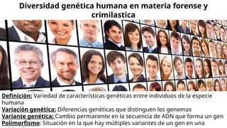 Definición: Variedad de características genéticas entre individuos de la especie
humana
Variación genética: Diferencias genéticas que distinguen los genomas
Variante genética: Cambio permanente en la secuencia de ADN que forma un gen
Polimorfismo: Situación en la que hay múltiples variantes de un gen en una
Diversidad genética humana en materia forense y
crimilastica
 
