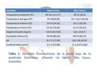 Tabla 1.  Variables fisicoquímicas de la parte baja de la quebrada Sardineros, afluente río Verde, Alto Cauca, Colombia. Variables Bajas lluvias Altas lluvias Temperatura ambiente (ºC) 29-18,1 (21,17)  30-15 (20,3) Temperatura del agua (ºC) 29-19(20,09) 22,7-14,2 (19,24) Temperatura máxima (ºC) 29-19 (26,91) 35-11 (29,24) Temperatura mínima (ºC) 23-13 (19,43)  21-15 (16,51) Oxigeno Disuelto (mg/Lt) 9,64-5,8 (7,03) 4,8-1,3 (3,7) Humedad relativa (%) 99-49 (84,63) 98-43 (90,15) pH 8,2-7,3 (7,95) 8,8-7,85 (8,22) Conductividad ( us/ml ) 3,5-1,9 (2,80) 11,1-0,15 (3,82) 