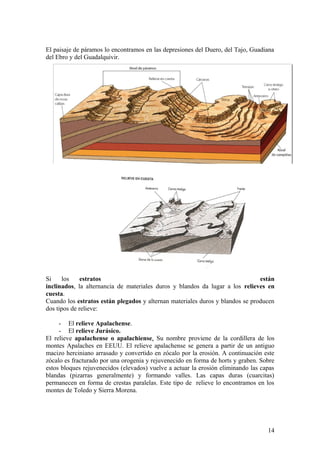 El paisaje de páramos lo encontramos en las depresiones del Duero, del Tajo, Guadiana
del Ebro y del Guadalquivir.




Si    los     estratos                                                         están
inclinados, la alternancia de materiales duros y blandos da lugar a los relieves en
cuesta.
Cuando los estratos están plegados y alternan materiales duros y blandos se producen
dos tipos de relieve:

     - El relieve Apalachense.
     - El relieve Jurásico.
El relieve apalachense o apalachiense. Su nombre proviene de la cordillera de los
montes Apalaches en EEUU. El relieve apalachense se genera a partir de un antiguo
macizo herciniano arrasado y convertido en zócalo por la erosión. A continuación este
zócalo es fracturado por una orogenia y rejuvenecido en forma de horts y graben. Sobre
estos bloques rejuvenecidos (elevados) vuelve a actuar la erosión eliminando las capas
blandas (pizarras generalmente) y formando valles. Las capas duras (cuarcitas)
permanecen en forma de crestas paralelas. Este tipo de relieve lo encontramos en los
montes de Toledo y Sierra Morena.




                                                                                   14
 