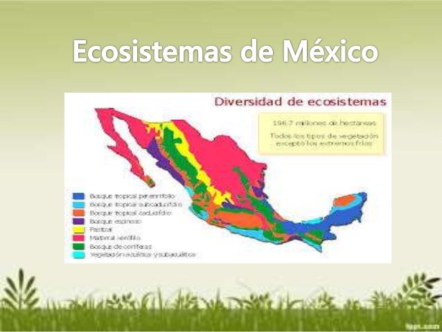 Diversidad de mexico
