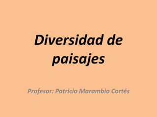 Diversidad de
     paisajes
Profesor: Patricio Marambio Cortés
 