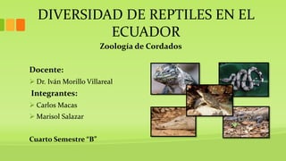 DIVERSIDAD DE REPTILES EN EL
ECUADOR
Zoología de Cordados
Docente:
 Dr. Iván Morillo Villareal
Integrantes:
 Carlos Macas
 Marisol Salazar
Cuarto Semestre “B”
 