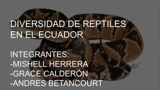 DIVERSIDAD DE REPTILES
EN EL ECUADOR
INTEGRANTES:
-MISHELL HERRERA
-GRACE CALDERÓN
-ANDRES BETANCOURT
 