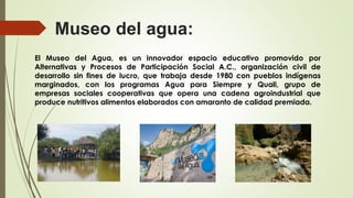 Museo del agua:
El Museo del Agua, es un innovador espacio educativo promovido por
Alternativas y Procesos de Participación Social A.C., organización civil de
desarrollo sin fines de lucro, que trabaja desde 1980 con pueblos indígenas
marginados, con los programas Agua para Siempre y Quali, grupo de
empresas sociales cooperativas que opera una cadena agroindustrial que
produce nutritivos alimentos elaborados con amaranto de calidad premiada.
 