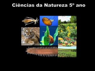 Ciências da Natureza 5º ano 