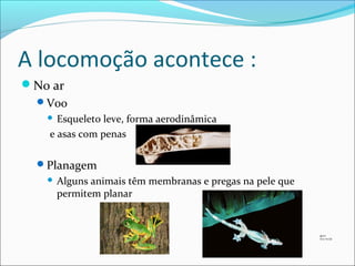 A locomoção acontece :
No ar
Voo

Esqueleto leve, forma aerodinâmica
e asas com penas



Planagem


Alguns animais têm membranas e pregas na pele que
permitem planar

39 P1
13 e 14 CA

 