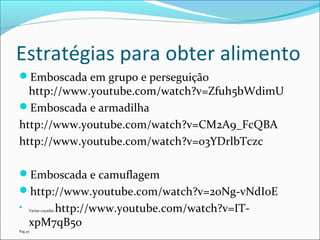 Estratégias para obter alimento
Emboscada em grupo e perseguição

http://www.youtube.com/watch?v=Zfuh5bWdimU
Emboscada e armadilha
http://www.youtube.com/watch?v=CM2A9_FcQBA
http://www.youtube.com/watch?v=03YDrlbTczc
Emboscada e camuflagem
http://www.youtube.com/watch?v=2oNg-vNdIoE


http://www.youtube.com/watch?v=ITxpM7qB5o
Varias caçadas

Pag 45

 