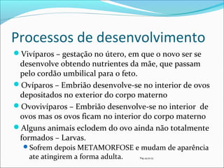 Processos de desenvolvimento
Vivíparos – gestação no útero, em que o novo ser se

desenvolve obtendo nutrientes da mãe, que passam
pelo cordão umbilical para o feto.
Ovíparos – Embrião desenvolve-se no interior de ovos
depositados no exterior do corpo materno
Ovovivíparos – Embrião desenvolve-se no interior de
ovos mas os ovos ficam no interior do corpo materno
Alguns animais eclodem do ovo ainda não totalmente
formados – Larvas.
Sofrem depois METAMORFOSE e mudam de aparência

ate atingirem a forma adulta.

Pag 49,50,53

 