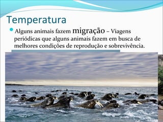 Temperatura

Alguns animais fazem migração – Viagens

periódicas que alguns animais fazem em busca de
melhores condições de reprodução e sobrevivência.

 